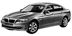 BMW F10 B14C2 Fault Code